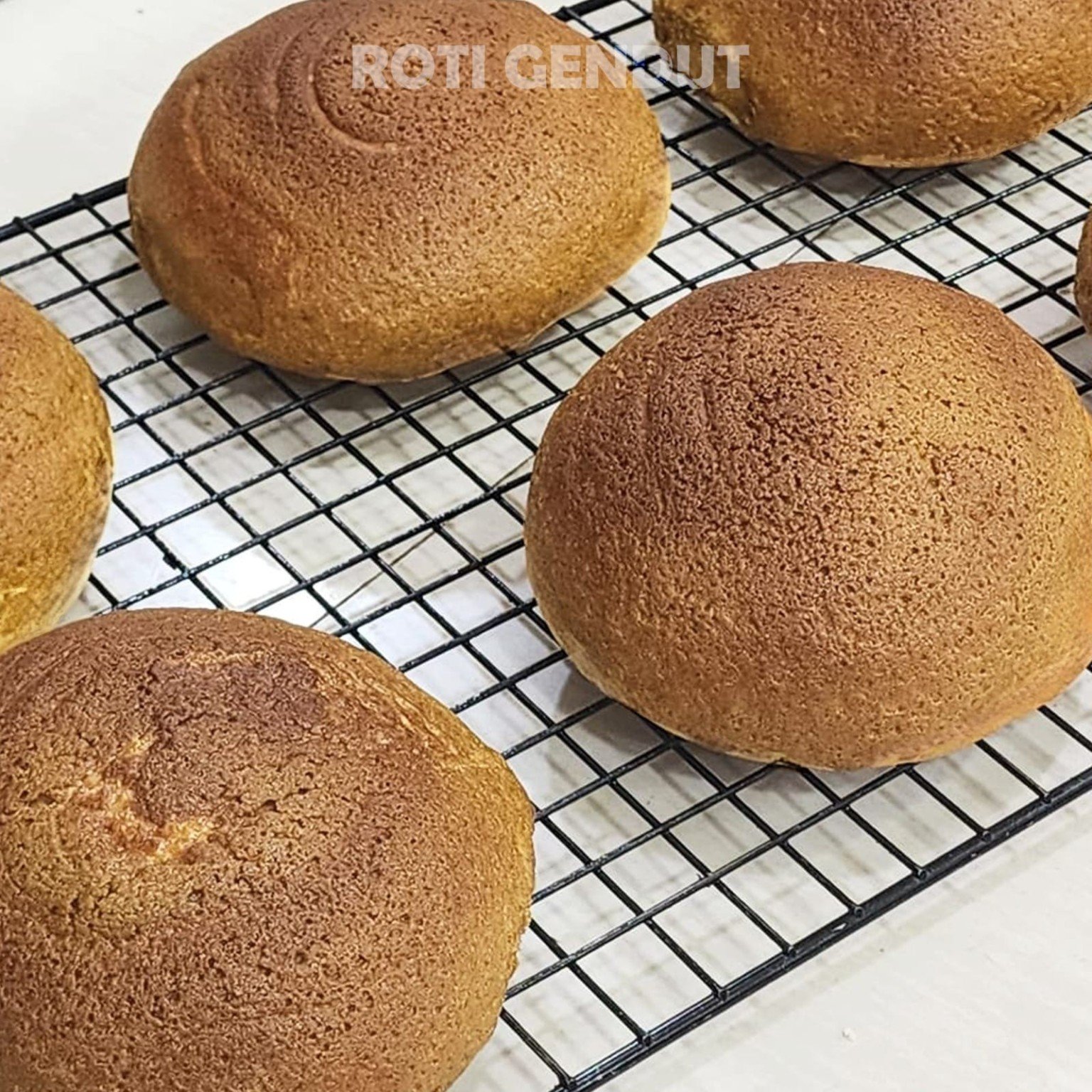 Coffee Bun Roti Gendut